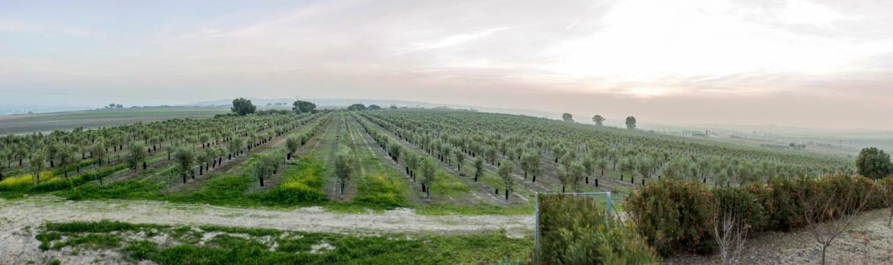 Vivienda Rural Olivar De San Telmo アルコス・デ・ラ・フロンテーラ エクステリア 写真