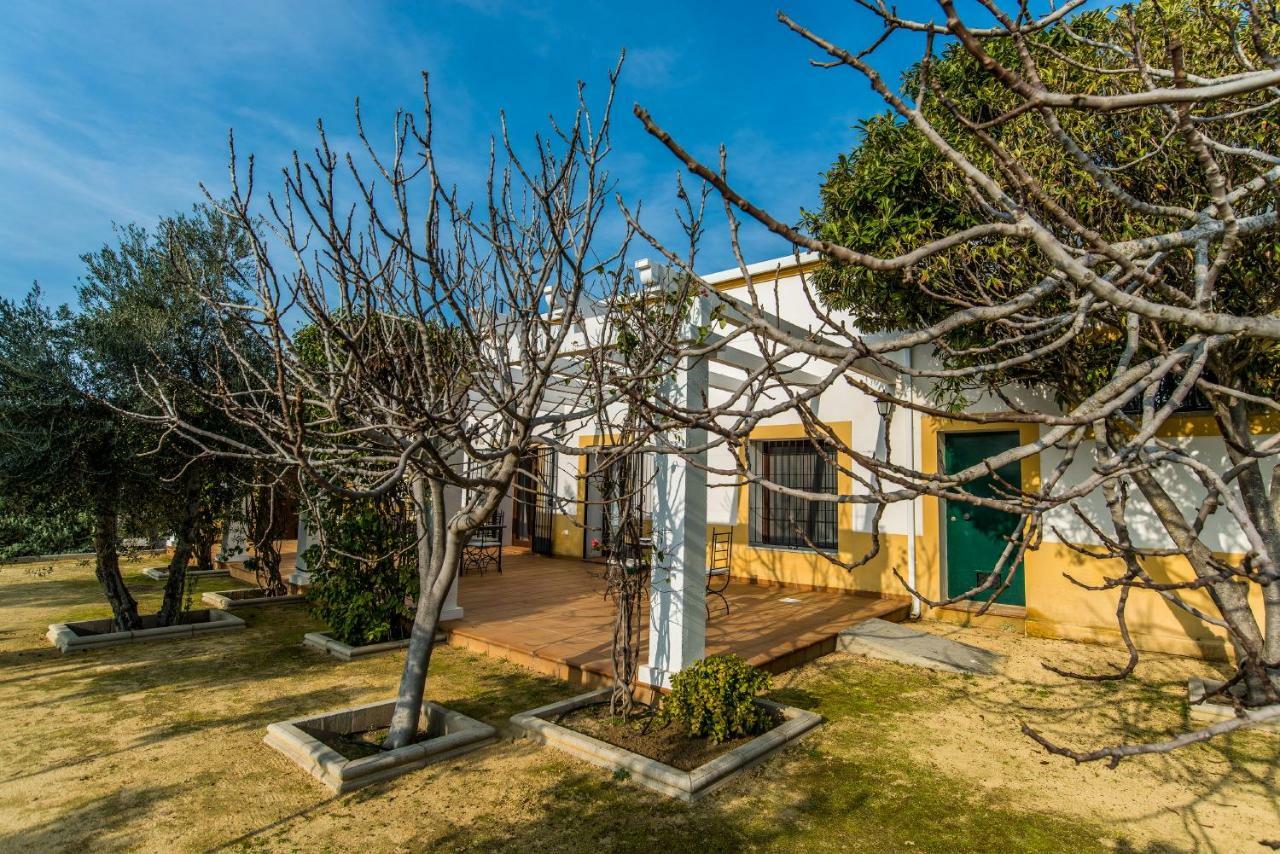 Vivienda Rural Olivar De San Telmo アルコス・デ・ラ・フロンテーラ エクステリア 写真
