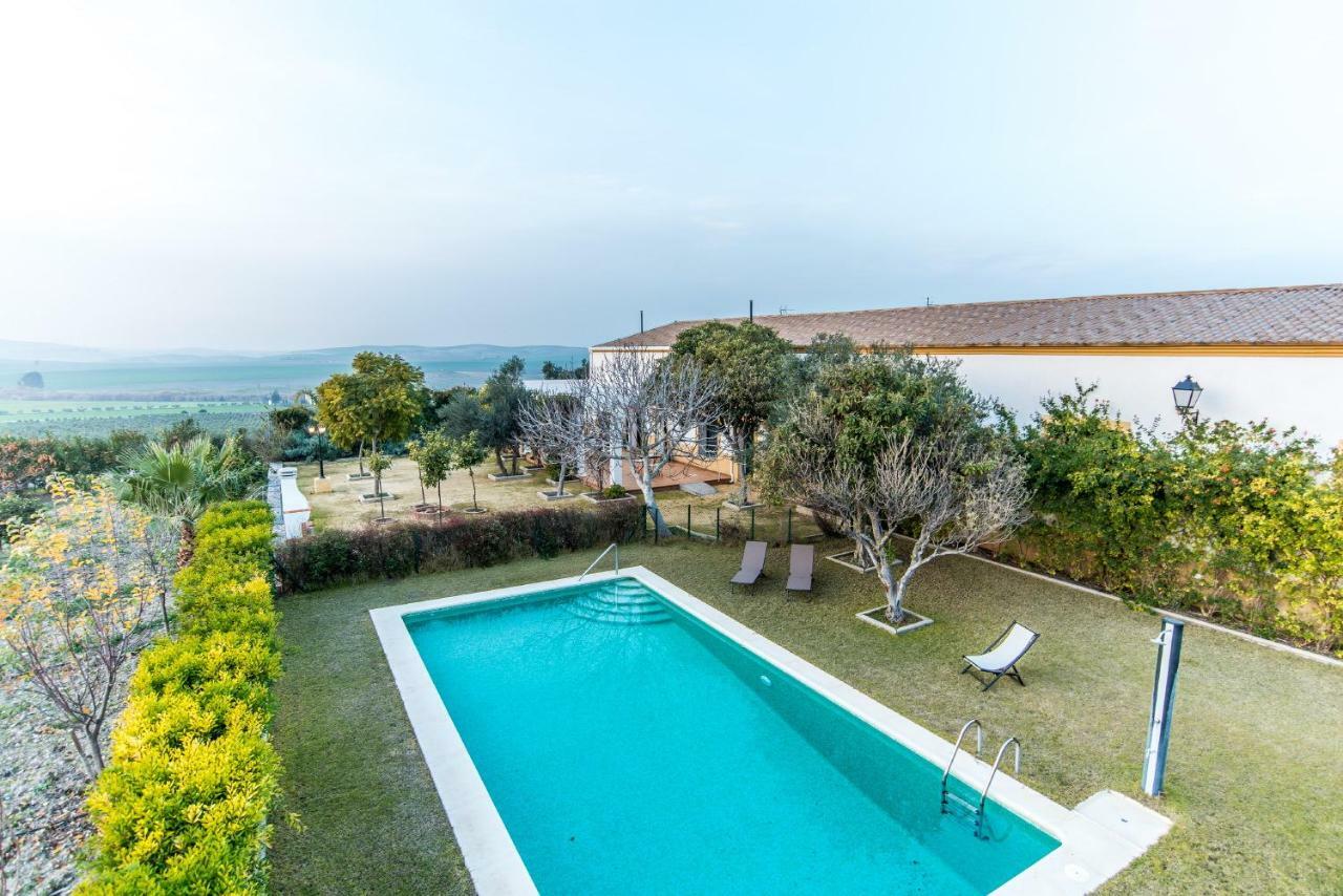 Vivienda Rural Olivar De San Telmo アルコス・デ・ラ・フロンテーラ エクステリア 写真