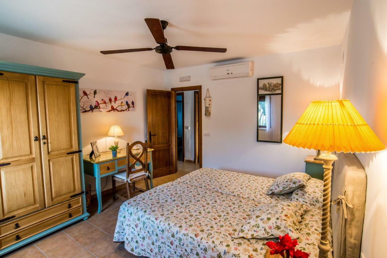 Vivienda Rural Olivar De San Telmo アルコス・デ・ラ・フロンテーラ エクステリア 写真