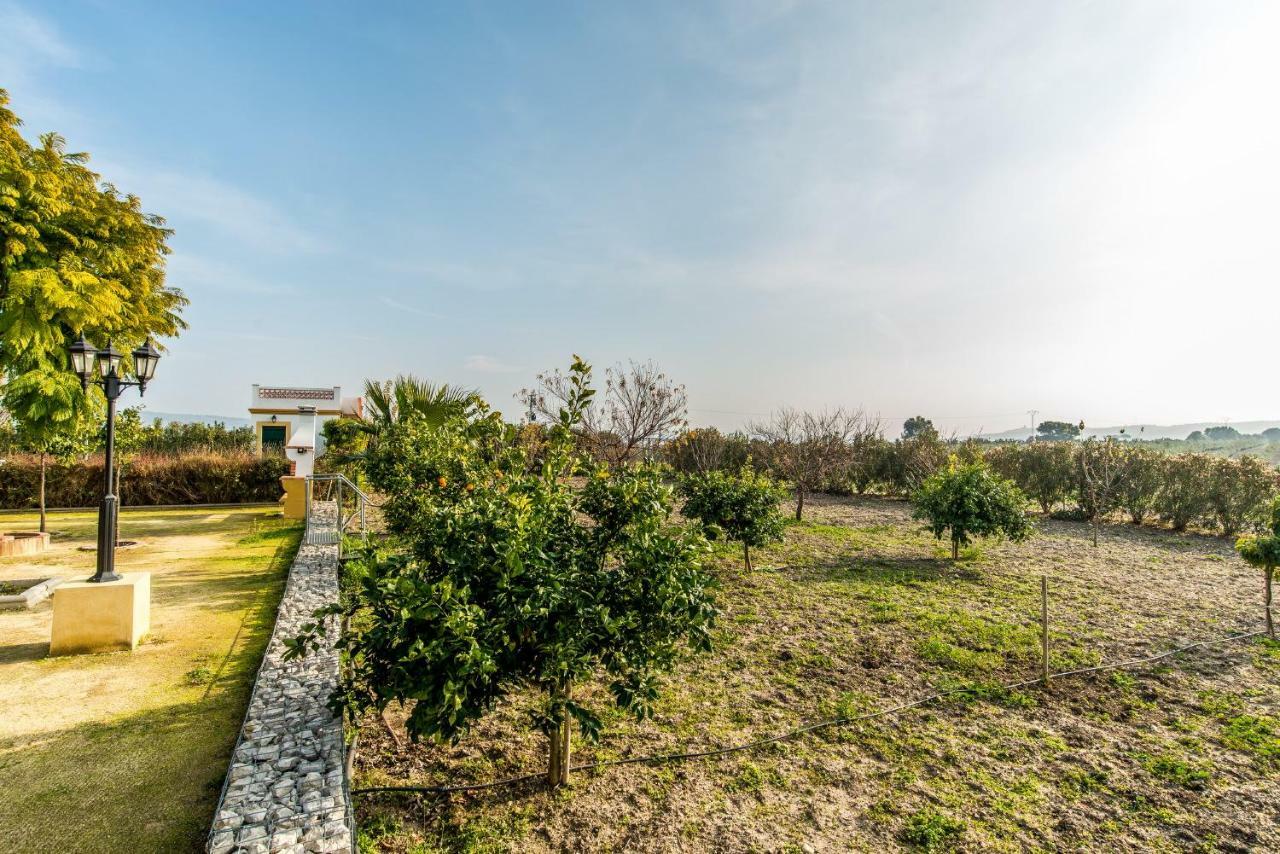 Vivienda Rural Olivar De San Telmo アルコス・デ・ラ・フロンテーラ エクステリア 写真