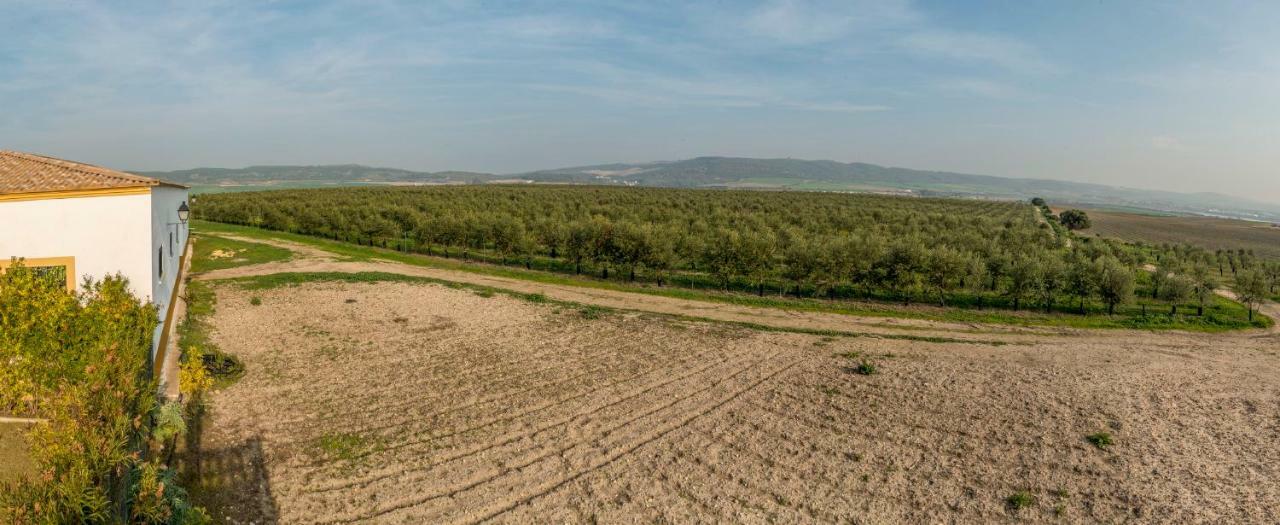 Vivienda Rural Olivar De San Telmo アルコス・デ・ラ・フロンテーラ エクステリア 写真