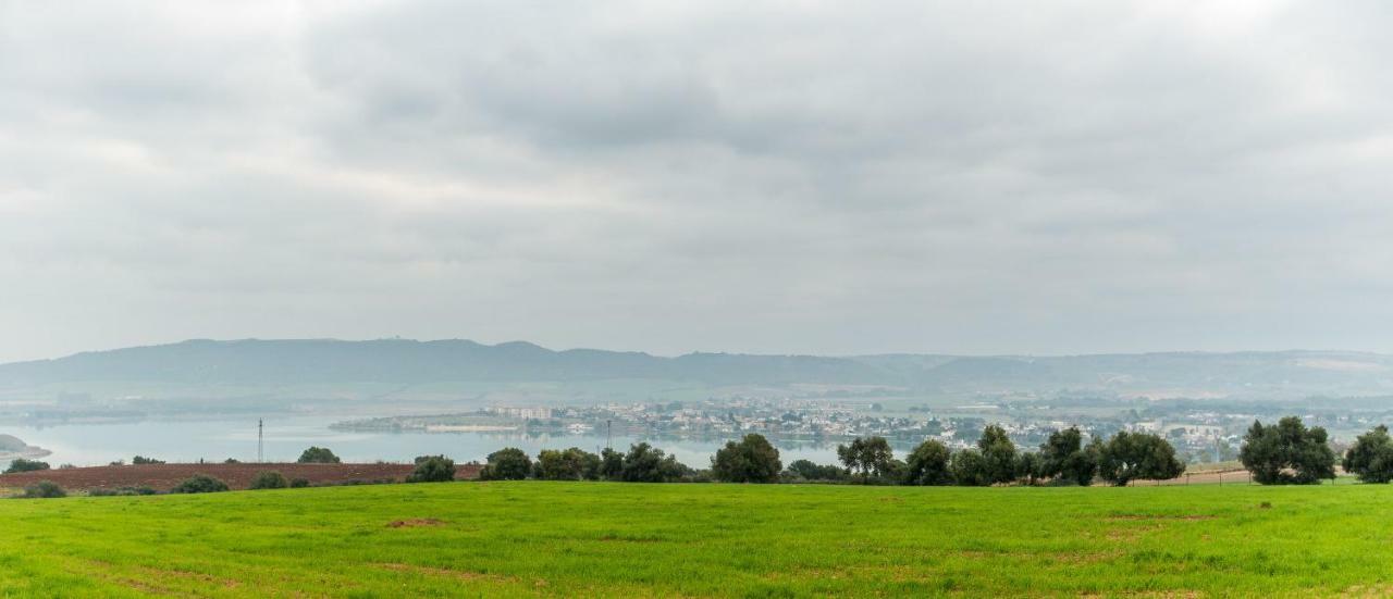 Vivienda Rural Olivar De San Telmo アルコス・デ・ラ・フロンテーラ エクステリア 写真