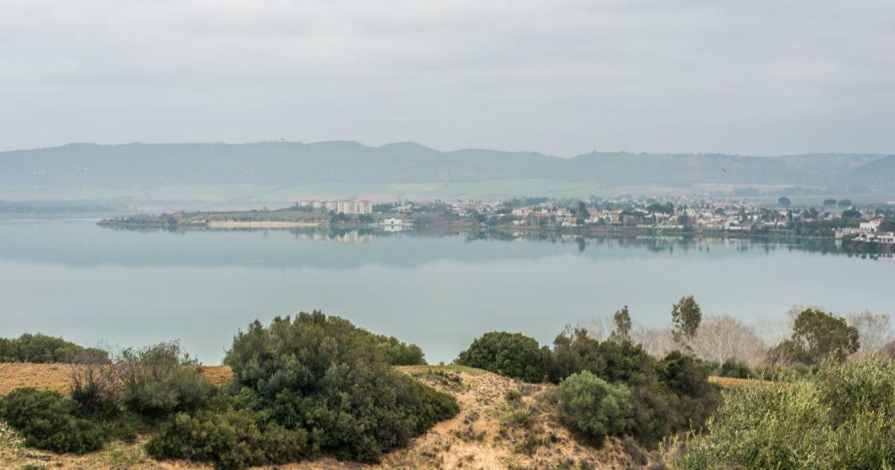 Vivienda Rural Olivar De San Telmo アルコス・デ・ラ・フロンテーラ エクステリア 写真
