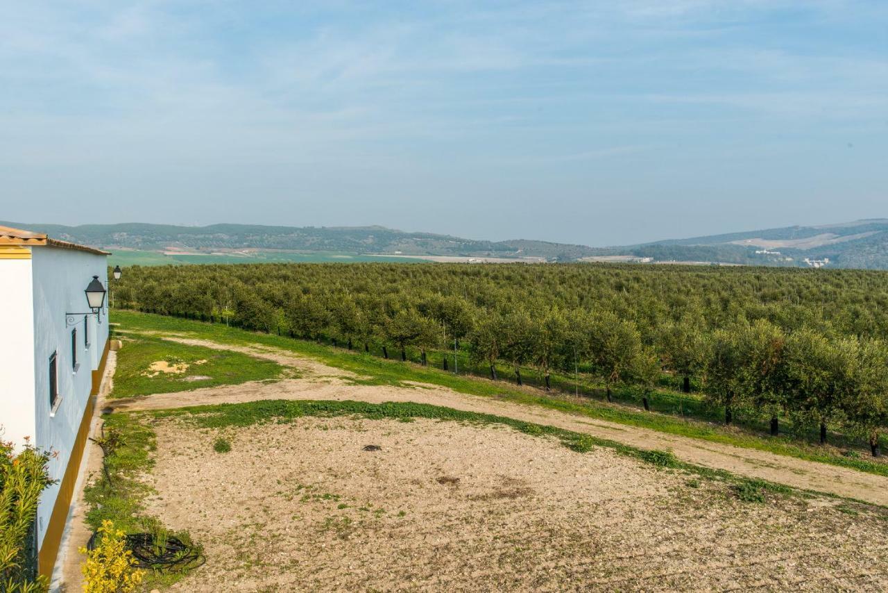 Vivienda Rural Olivar De San Telmo アルコス・デ・ラ・フロンテーラ エクステリア 写真