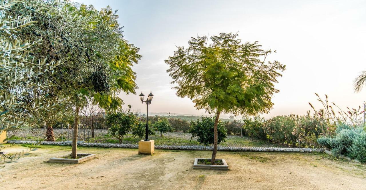 Vivienda Rural Olivar De San Telmo アルコス・デ・ラ・フロンテーラ エクステリア 写真